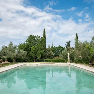 Tra Gli Ulivi, Chiappini Bolgheri