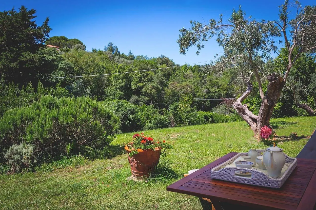 Gatto Rosso Bed & Breakfast Bolgheri